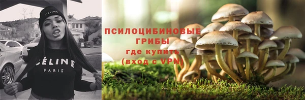 mdpv Алзамай