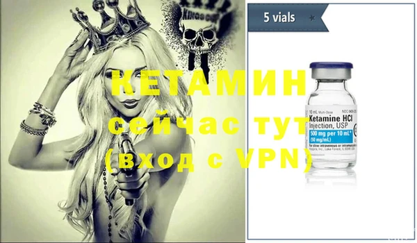 крисы Алексин