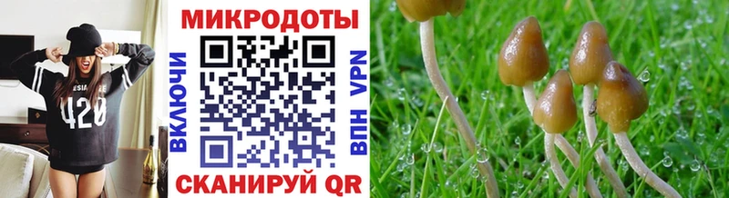Галлюциногенные грибы Magic Shrooms  Дзержинский 